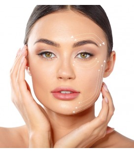Hyaluronic System