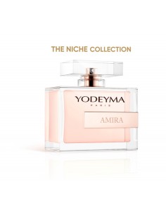 AMIRA 2